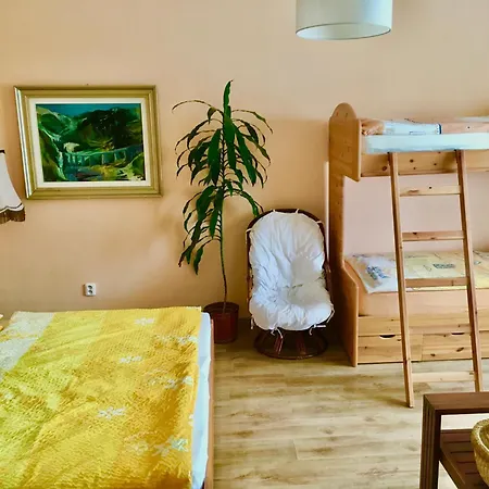 公寓 弗洛拉公寓式酒店 奥洛穆茨