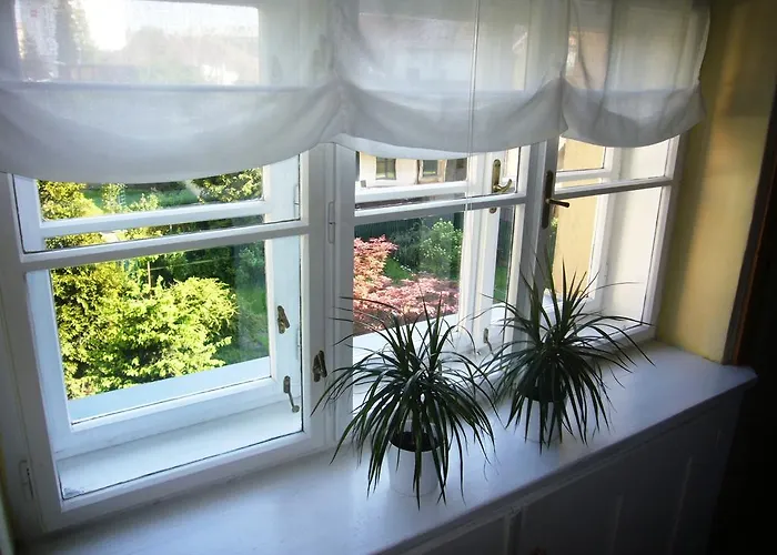 Flora Оломоуц